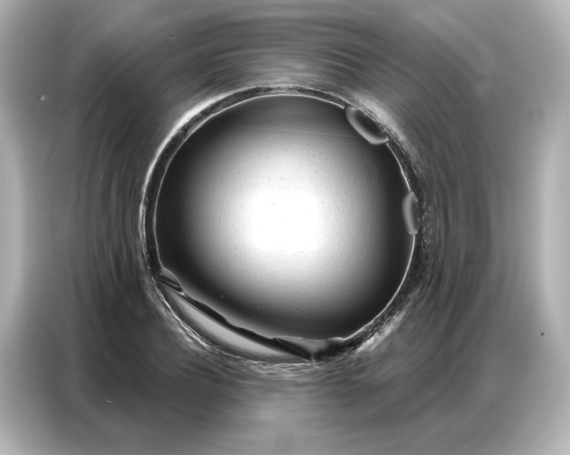 X0000086900932200704301014