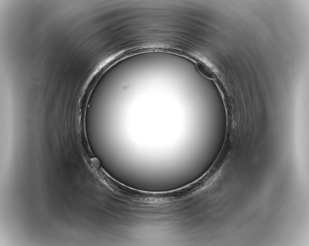 X0000086900933200704301014