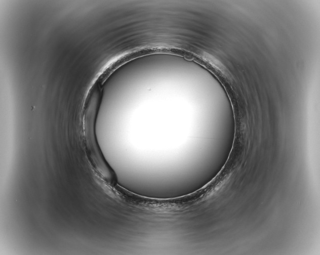 X0000086900934200704301014