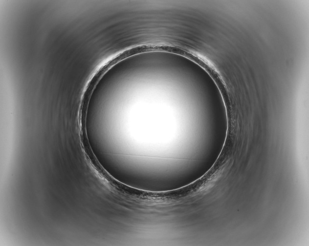 X0000086900935200704301014