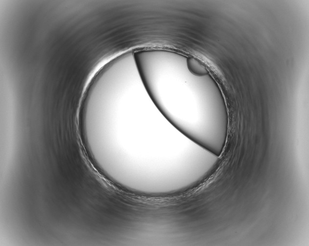 X0000086900936200704301014