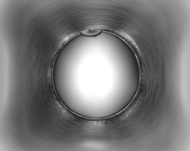 X0000086900937200704301014