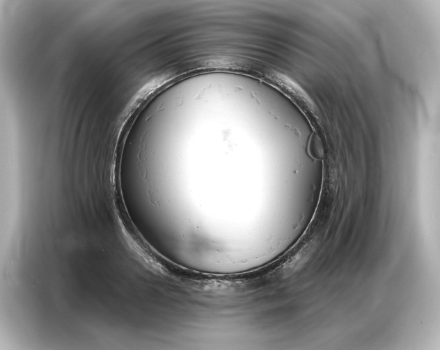 X0000086900938200704301014