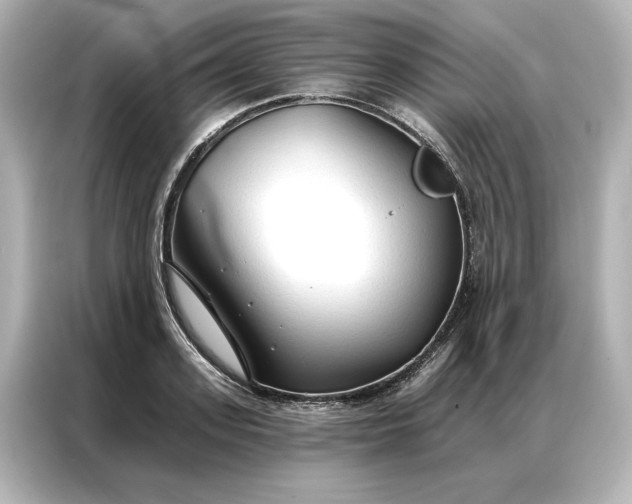 X0000086900939200704301014