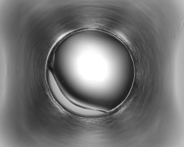 X0000086900940200704301014