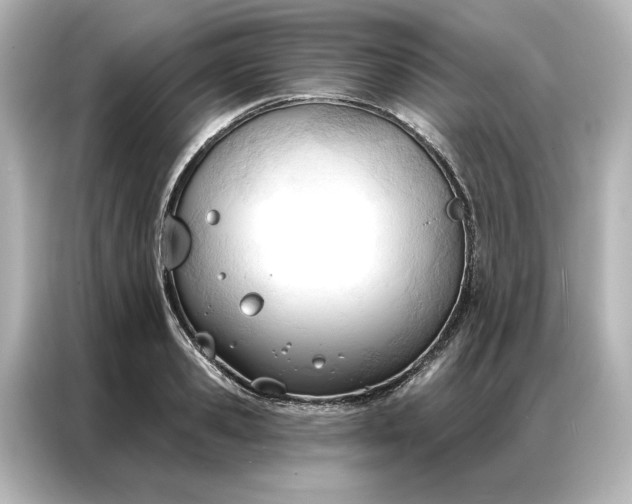 X0000086900941200704301014