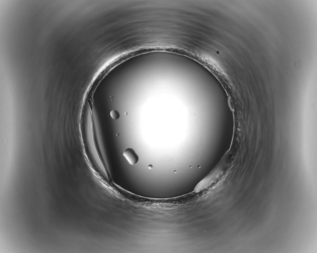 X0000086900942200704301014