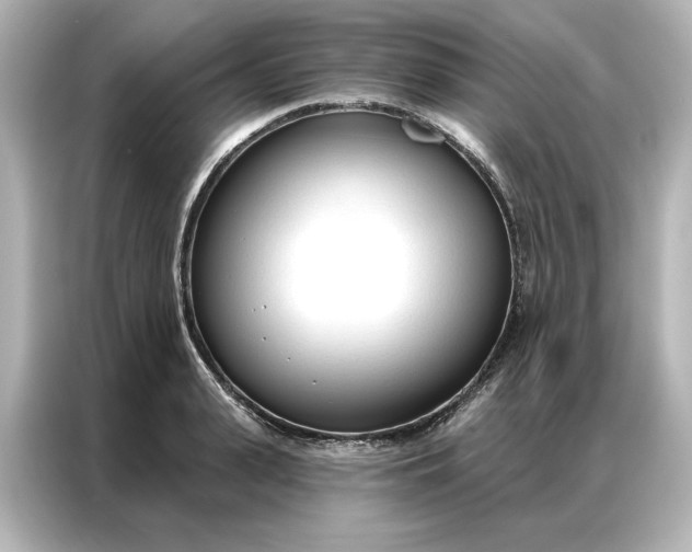 X0000086900943200704301014