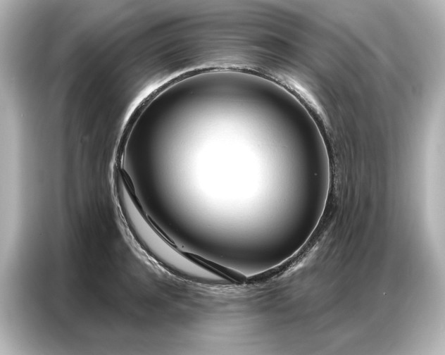 X0000086900944200704301014