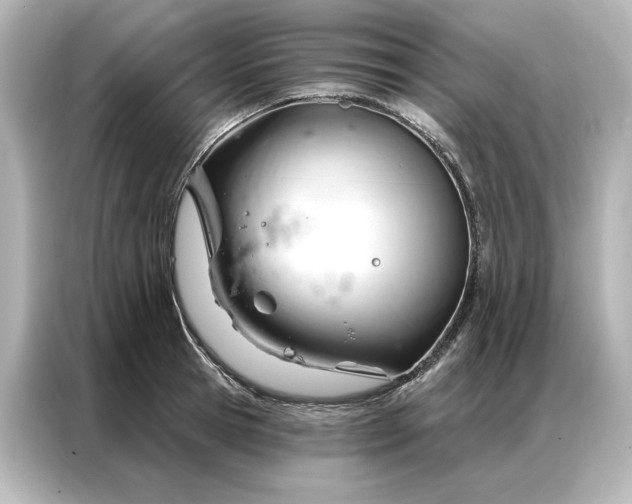 X0000086900945200704301014