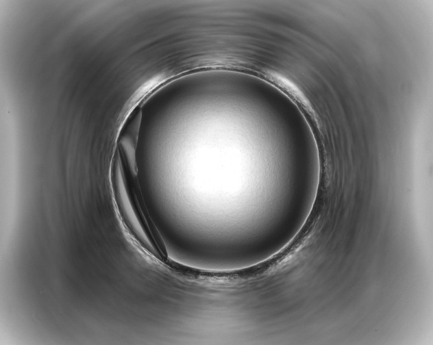 X0000086900946200704301014