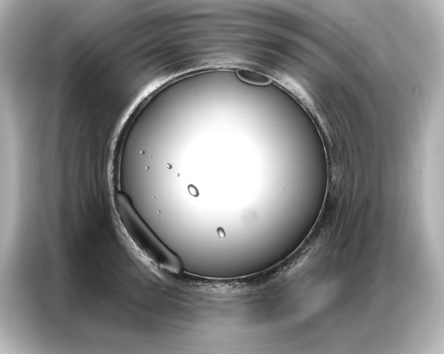 X0000086900947200704301014