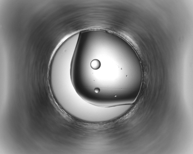 X0000086900948200704301014