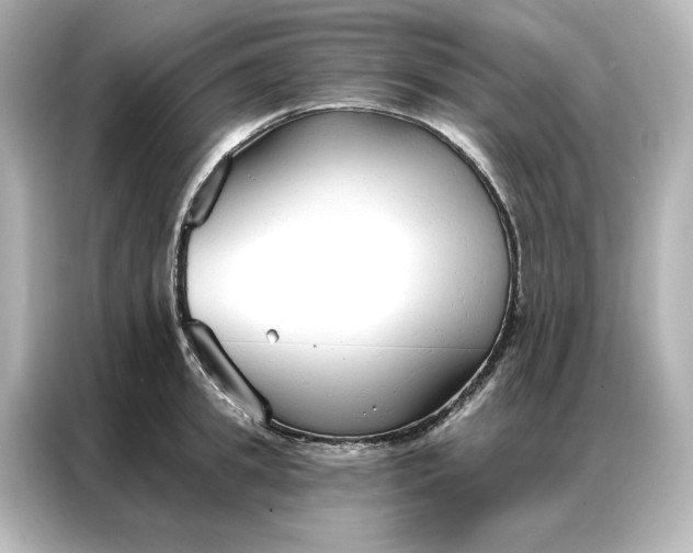 X0000086900949200704301014