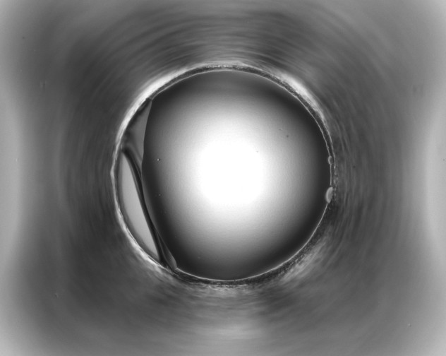 X0000086900951200704301014