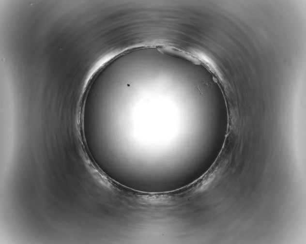 X0000086900952200704301014