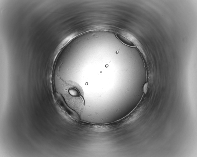 X0000086900954200704301014