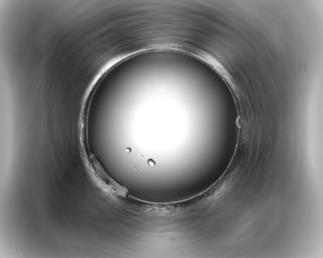 X0000086900955200704301014