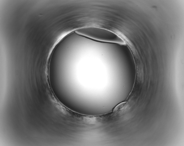 X0000086900956200704301014