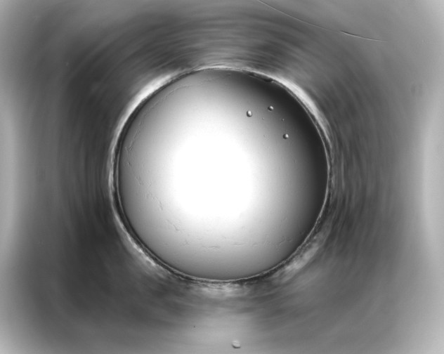 X0000086900957200704301014