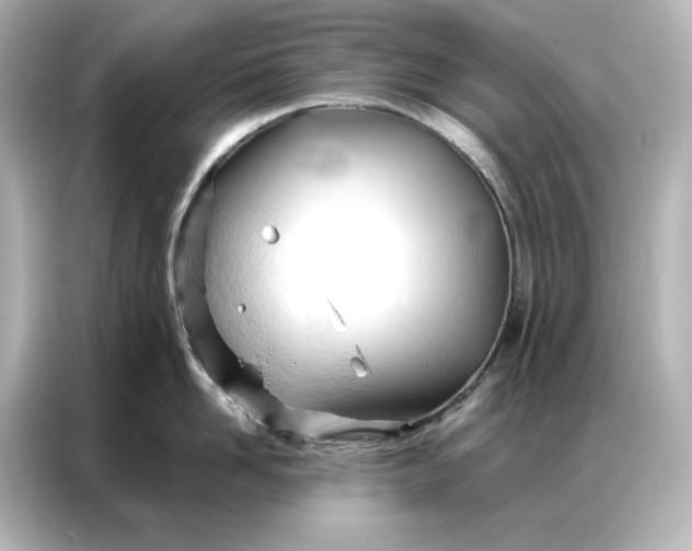 X0000086900958200704301014