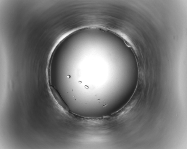 X0000086900959200704301014