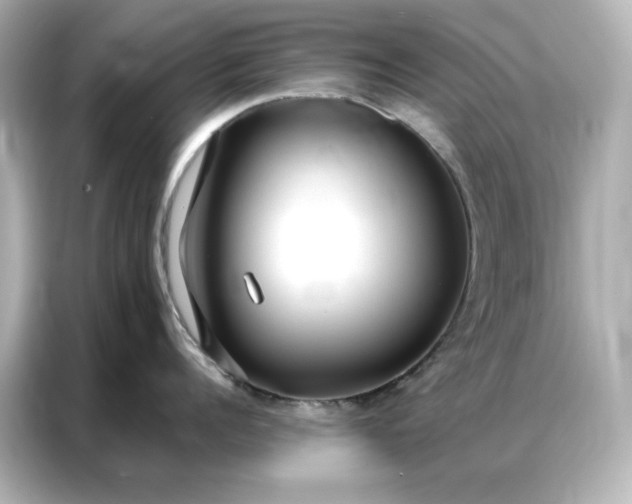 X0000086900960200704301014