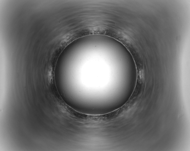 X0000086900963200704301014