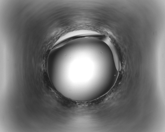 X0000086900965200704301014