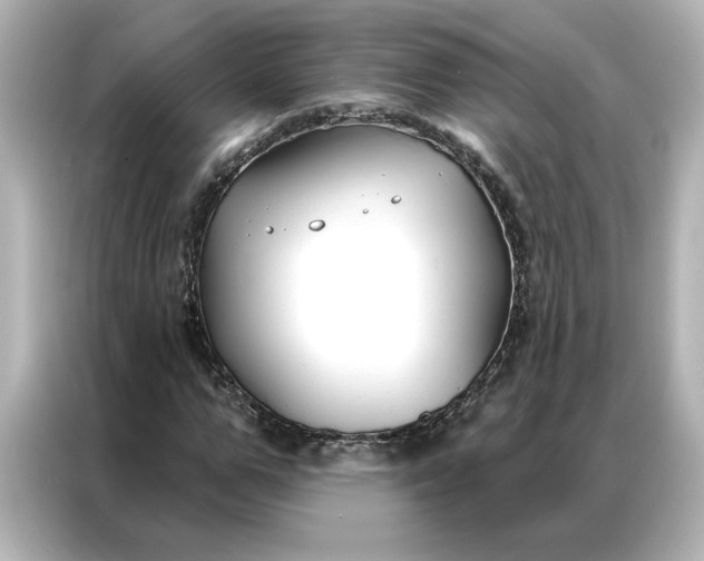 X0000086900967200704301014