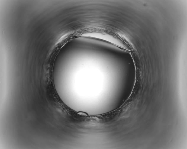 X0000086900968200704301014