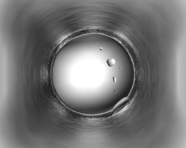 X0000086900969200704301014