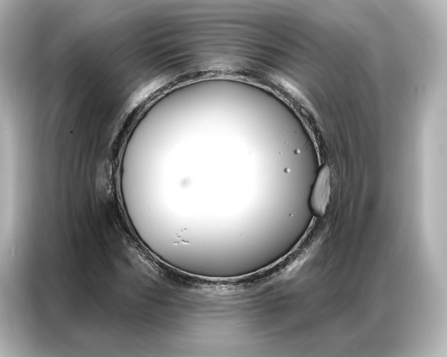 X0000086900970200704301014