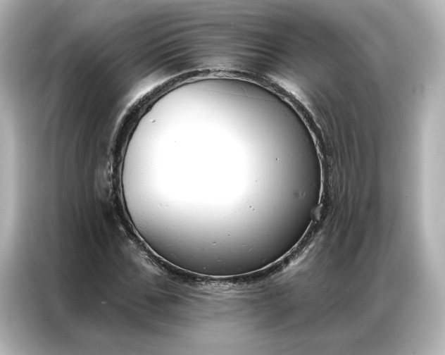 X0000086900971200704301014