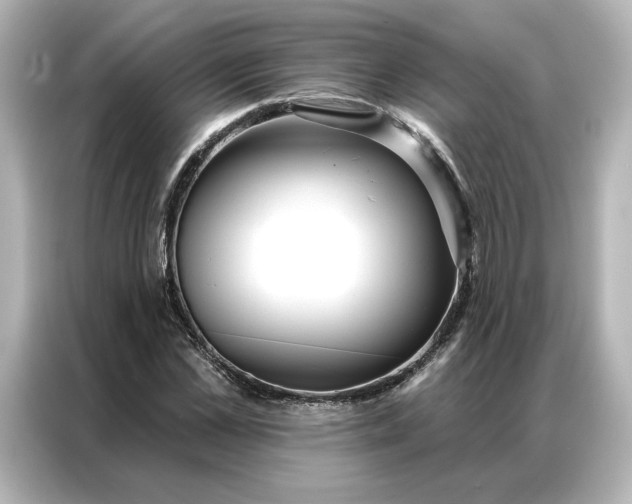 X0000086900973200704301014