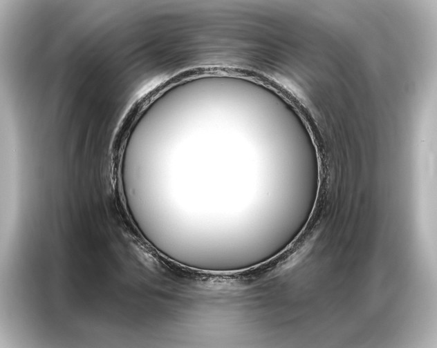 X0000086900974200704301014