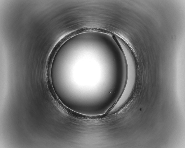 X0000086900976200704301013