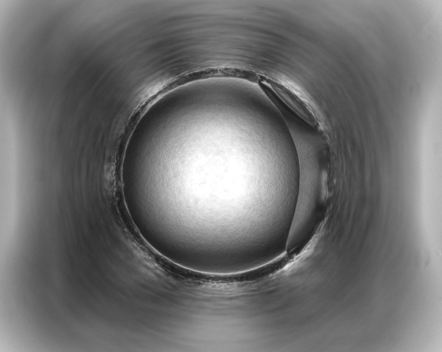 X0000086900977200704301013