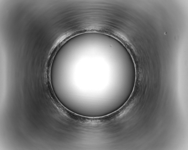 X0000086900978200704301013