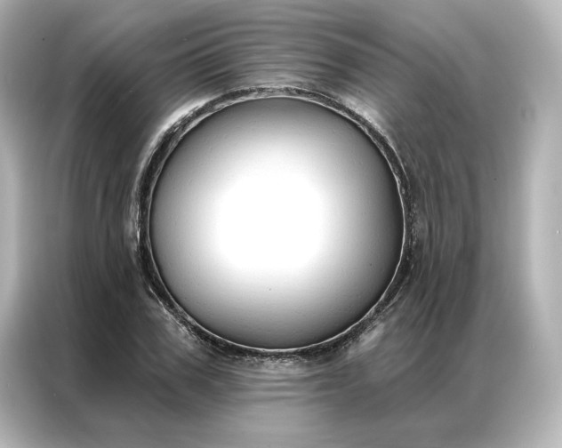 X0000086900979200704301013