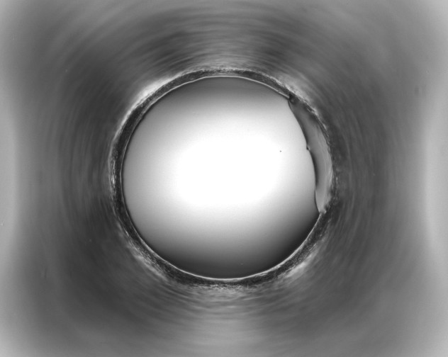 X0000086900981200704301013