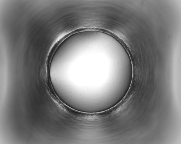 X0000086900982200704301013