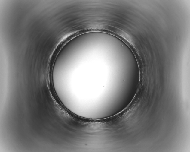 X0000086900984200704301013