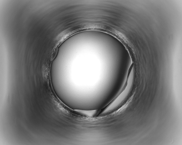 X0000086900985200704301013