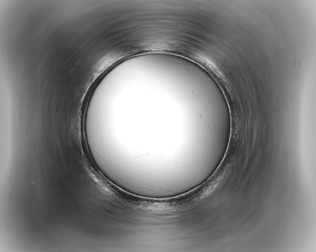 X0000086900986200704301013