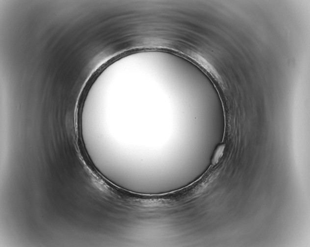 X0000086900988200704301013