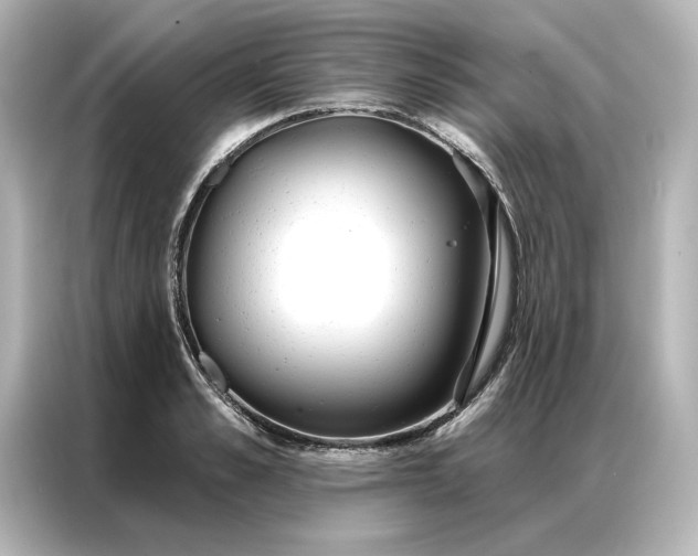 X0000086900989200704301013