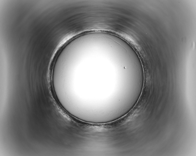 X0000086900990200704301013