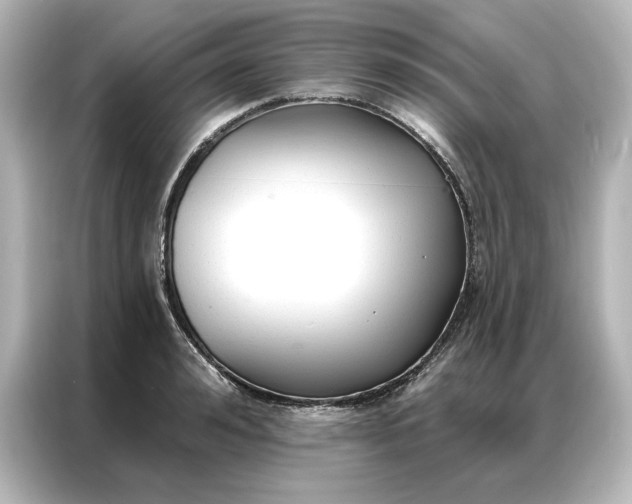 X0000086900992200704301013