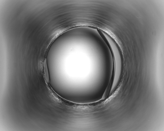 X0000086900993200704301013